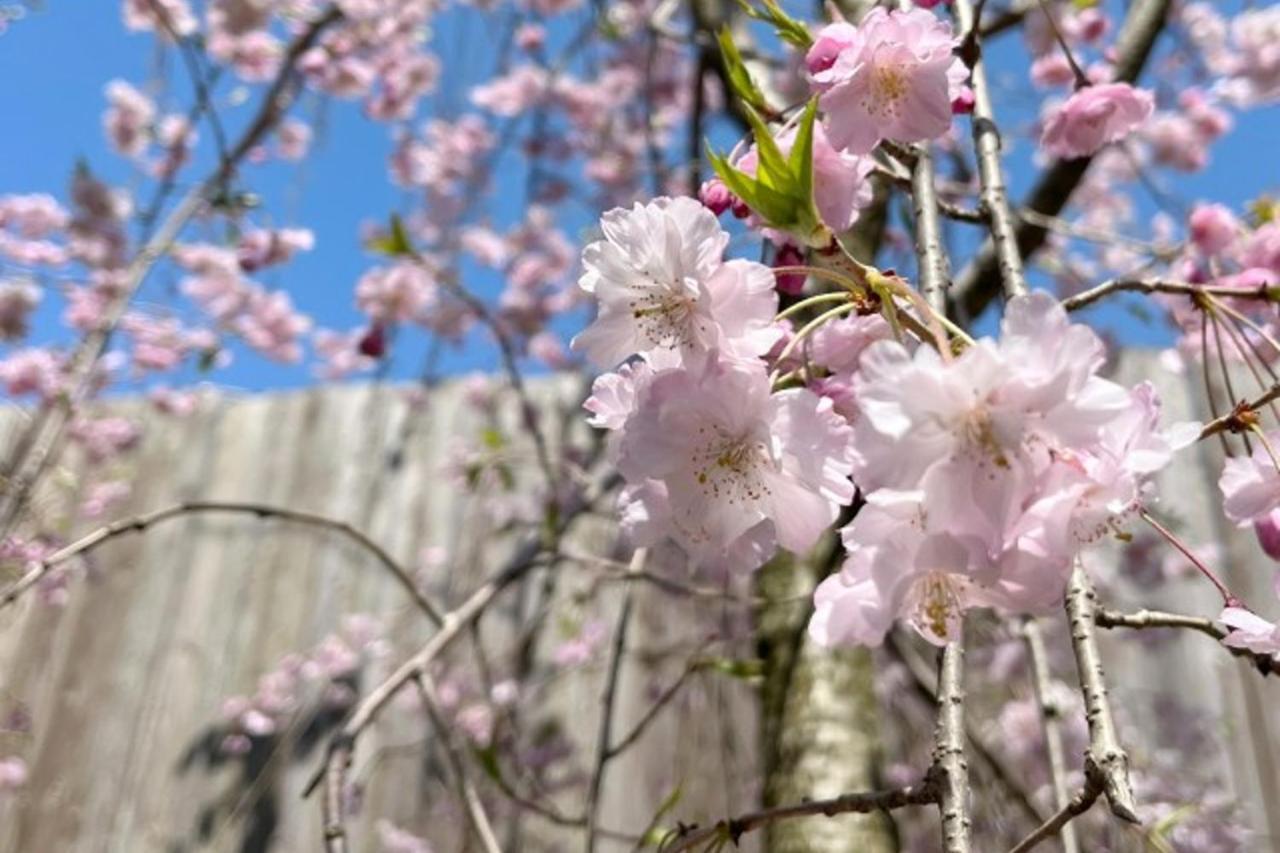 Hotel Machi No Odoriba Kanazawa Zewnętrze zdjęcie