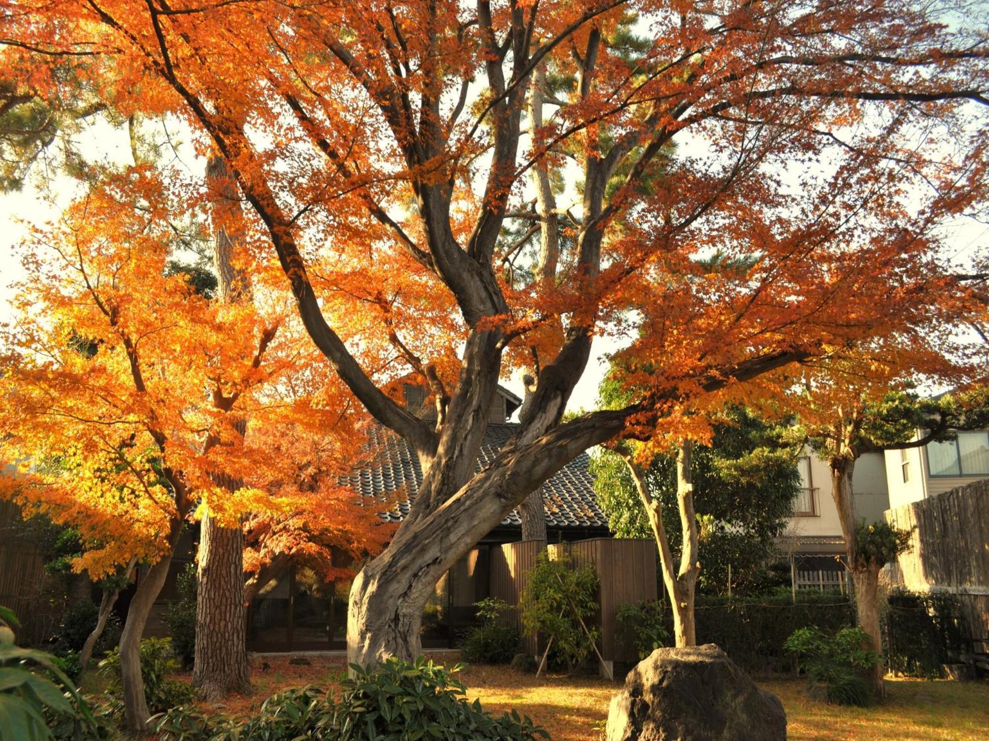 Hotel Machi No Odoriba Kanazawa Zewnętrze zdjęcie