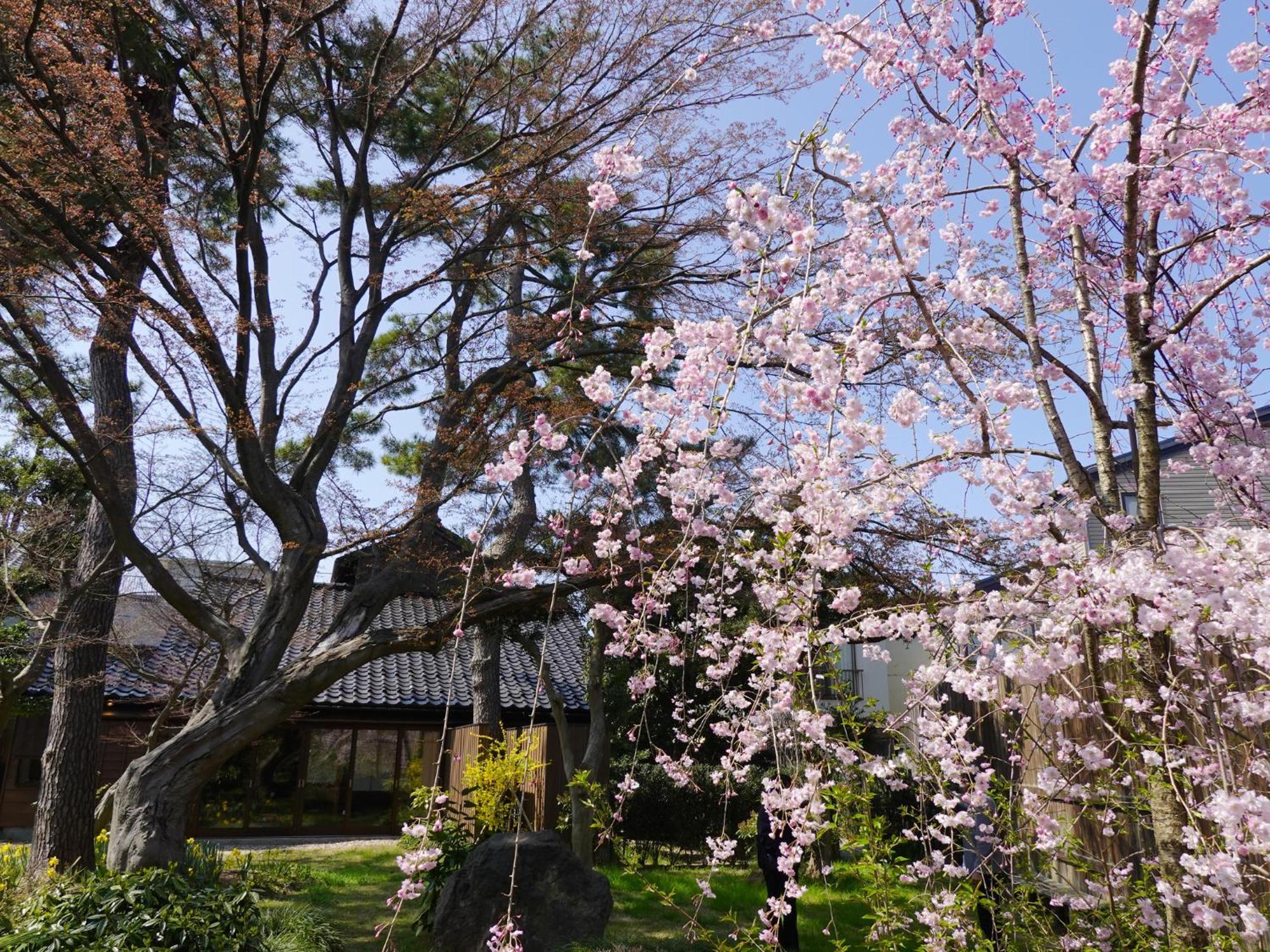 Hotel Machi No Odoriba Kanazawa Zewnętrze zdjęcie